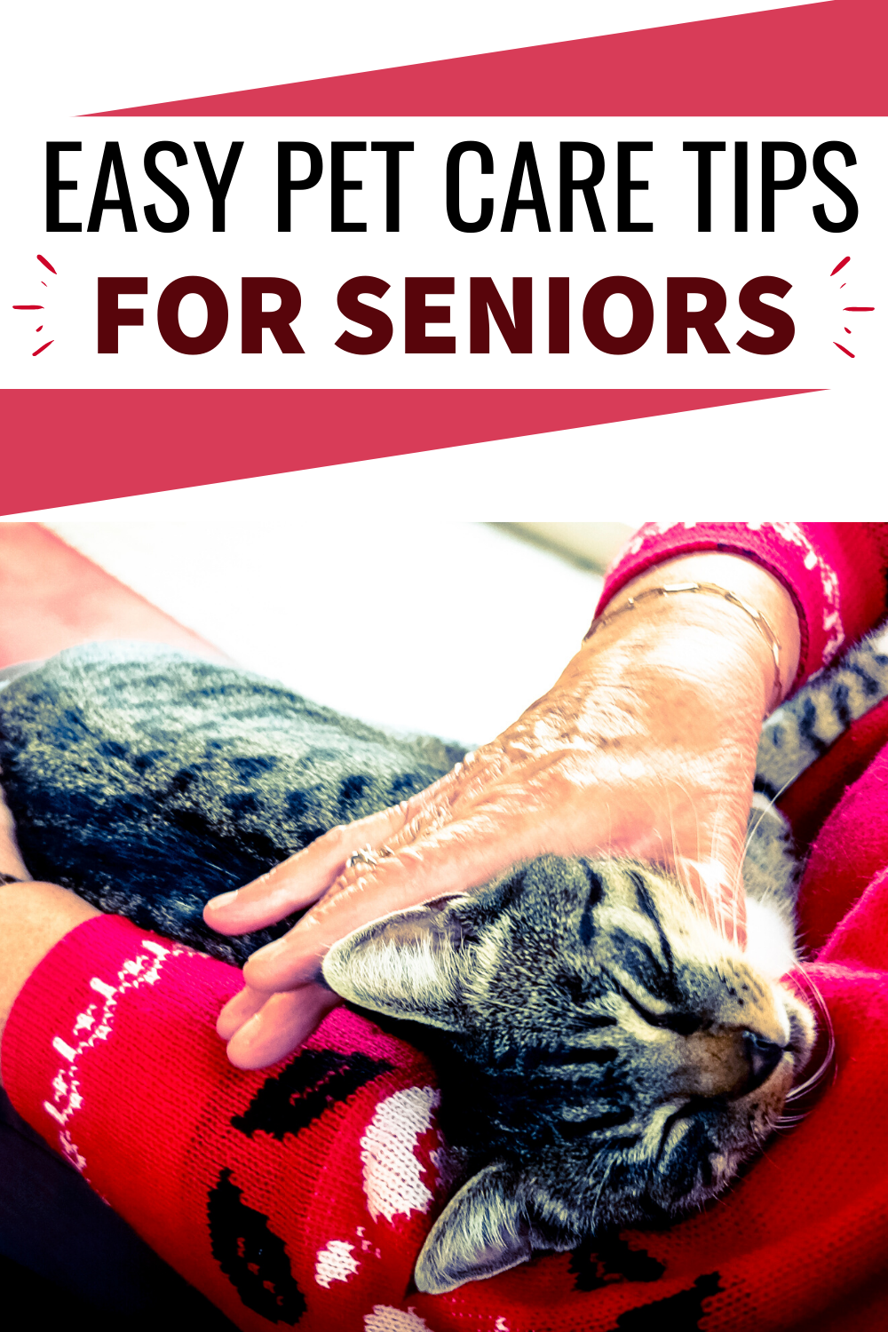 Easy Pet Care Tips for Seniors